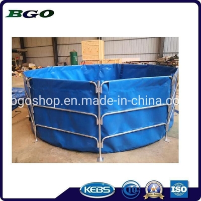 Hồ cá gấp dễ dàng để thiết lập hoàn hảo cho không gian nhỏ