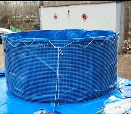 2MM Thép lưới bọc thép bọc thép bọc thép bọc thép bọc thép bọc thép bọc thép bọc thép bọc thép bọc thép bọc thép bọc thép bọc thép bọc thép bọc thép bọc thép bọc thép bọc