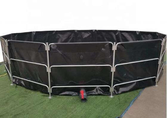 Outdoor tái sử dụng PVC bọc thép bể cá 30000L bể cá bể nhựa Dye bể cá
