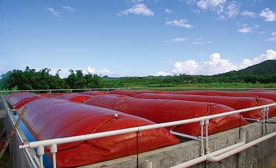 2000T 1.0mm PVC ốp nhựa bọc bọc bọc bọc bọc bọc bọc bọc bọc bọc bọc bọc bọc bọc bọc bọc bọc bọc bọc bọc bọc bọc bọc bọc bọc bọc bọc bọc bọc bọc bọc bọc bọc bọc bọc bọc bọc bọc bọc bọc bọc bọc bọc bọc bọc bọc bọc bọc bọc bọc bọc bọc bọc bọc bọc bọc bọc bọc bọc bọc bọc bọc bọc bọc bọc bọc bọc bọc bọc bọc bọc bọc bọc bọc bọc bọc bọc bọc bọc bọc bọc bọc bọc bọc bọc bọc bọc bọc bọc bọc bọc bọc bọc bọc