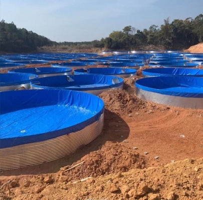 Trên mặt đất bọc thép hồ cá với tấm nhựa galvanized ngoài trời