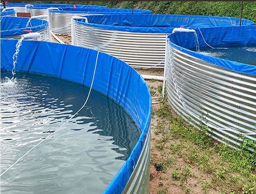 Đồ chứa cá bằng giấy galvanized PP DN110MM