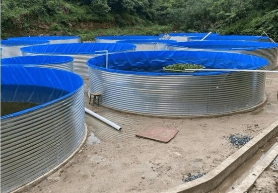 Đồ chứa cá bằng giấy galvanized PP DN110MM