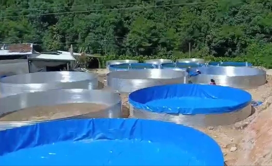 Đồ cá bằng tấm galvanized bọc ốp 50000 lít