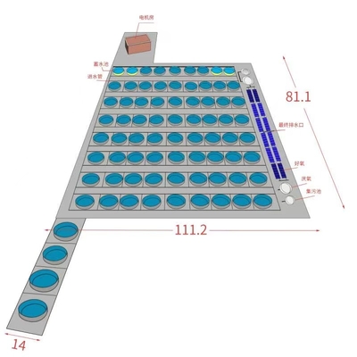 Các bể cá nuôi cá 20M D 1.20M H