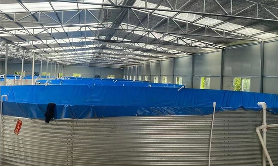 Các bể cá nuôi cá 20M D 1.20M H