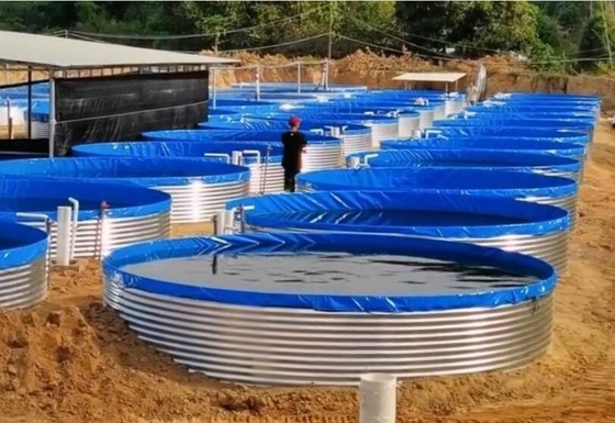 Các bể cá bằng tấm galvanized Bể nuôi cá nhựa 30M Chiều kính lớn