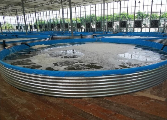 Các bể cá bằng tấm galvanized Bể nuôi cá nhựa 30M Chiều kính lớn