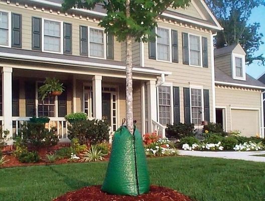 Green 25 Gallon Tree Watering Bags Để tưới cây mới trồng