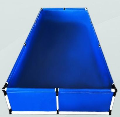 Trên mặt đất Hồ cá nhựa nhỏ, bể chứa nước Bể cá nhựa nhựa