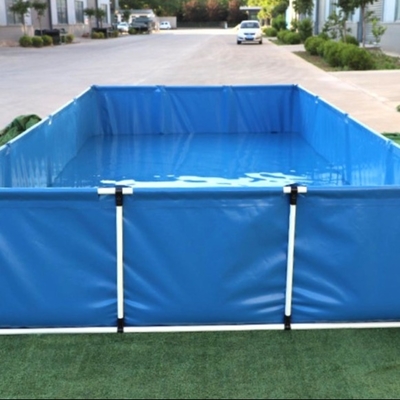 Thủy sản đặc biệt cho bể cá ván gấp tùy chỉnh
