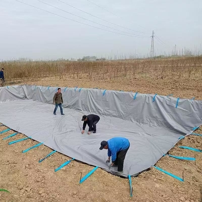 PVC Tarpaulin Gập nông nghiệp nước mưa thu lại bàng quang
