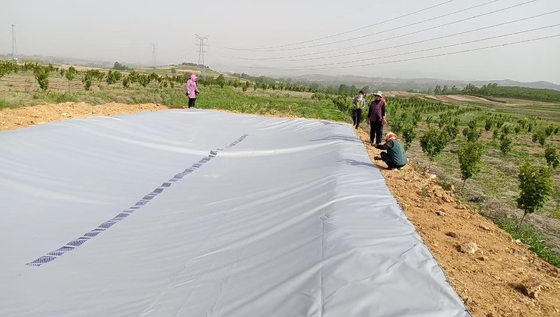Tủ chứa nước nước mưa nhà kính PVC Băng nhựa để tưới tiêu thụ nông nghiệp