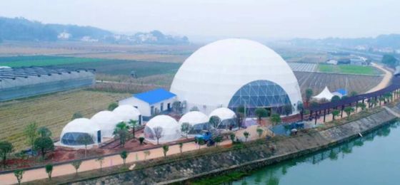 20M PVC mái vòm địa chất Cấu trúc vững chắc Thép Cửa hàng tiệc Tiệm cưới trong suốt