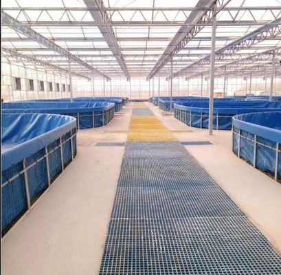 Thép gấp lưới bọc thép bọc thép bọc thép bọc thép bọc thép bọc thép bọc thép bọc thép bọc thép
