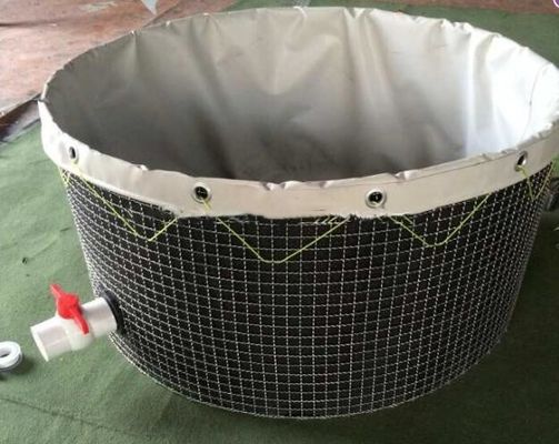 2MM Thép lưới bọc thép bọc thép bọc thép bọc thép bọc thép bọc thép bọc thép bọc thép bọc thép bọc thép bọc thép bọc thép bọc thép bọc thép bọc thép bọc thép bọc thép bọc