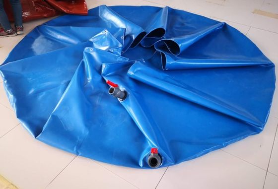 Hình dạng tròn PVC ấp ủ bể cá bể cá ấp ủ bể cá