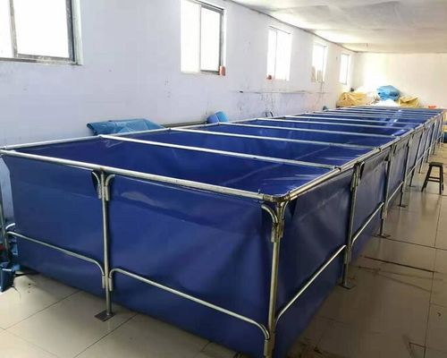 10000L bọc thép bọc thép bọc thép bọc thép bọc thép bọc thép
