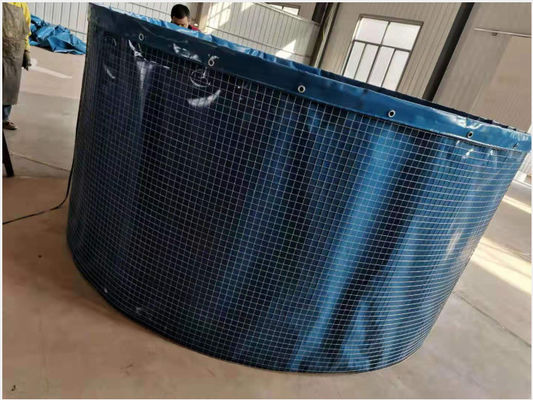 thủy sản bọc thép bể cá