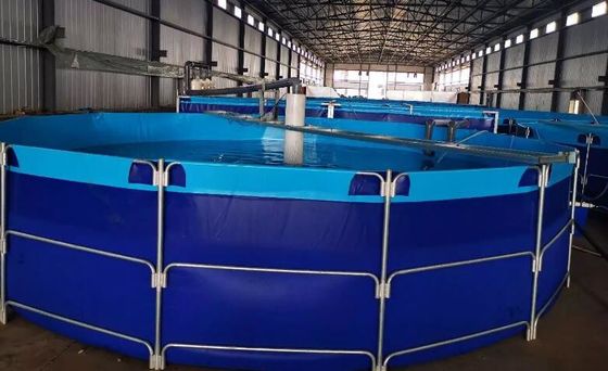 Ngoài vòng TPU 50000L 100000L bể nuôi cá với khung kim loại bể cá bể nhựa