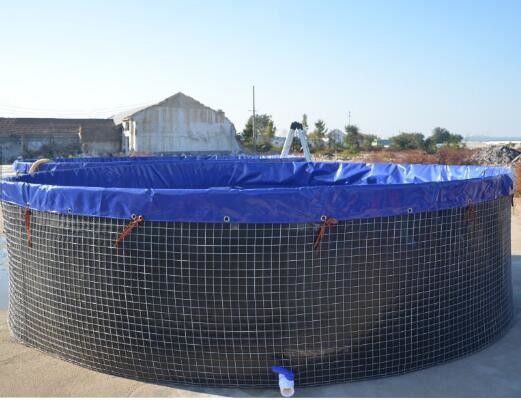 16m Chiều kính 301.440 lít Hồ cá tròn gập lại PVC Băng nhựa ngoài trời