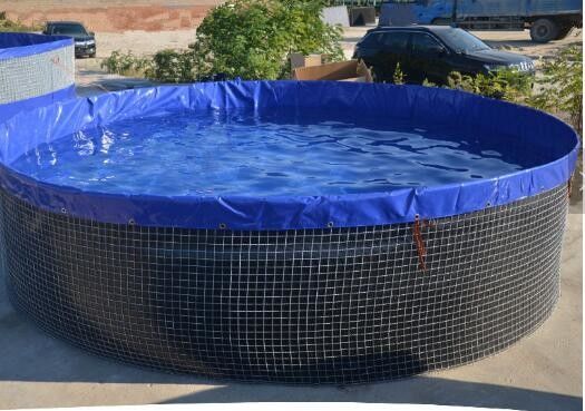 16m Chiều kính 301.440 lít Hồ cá tròn gập lại PVC Băng nhựa ngoài trời