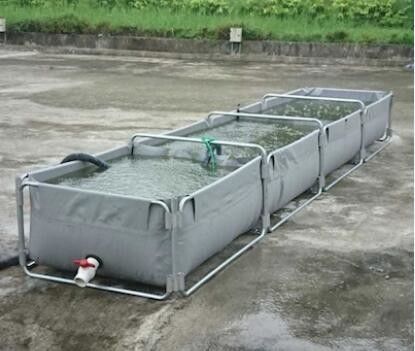 Nắp 3000L 0,9mm PVC Băng nhựa bể cá bể cá bể nhựa bể cá