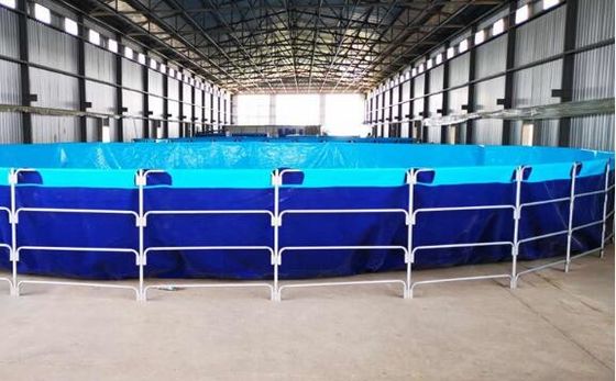 50000L linh hoạt gấp 0,9mm PVC Băng nhựa bể cá ngoài trời bể cá Diy bể cá