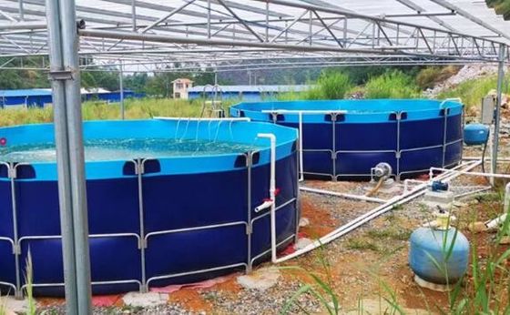 50000L linh hoạt gấp 0,9mm PVC Băng nhựa bể cá ngoài trời bể cá Diy bể cá
