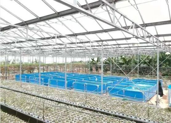 Nắp 0,9mm PVC Băng nhựa bể cá 30000L bể cá bể nhựa bể cá