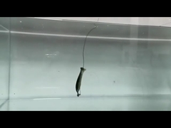 Mồi mềm PVC Loach, mồi giả silicon mềm câu cá