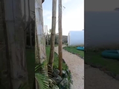 Phòng khách sạn Nhà ngoài trời Lều bong bóng hơi